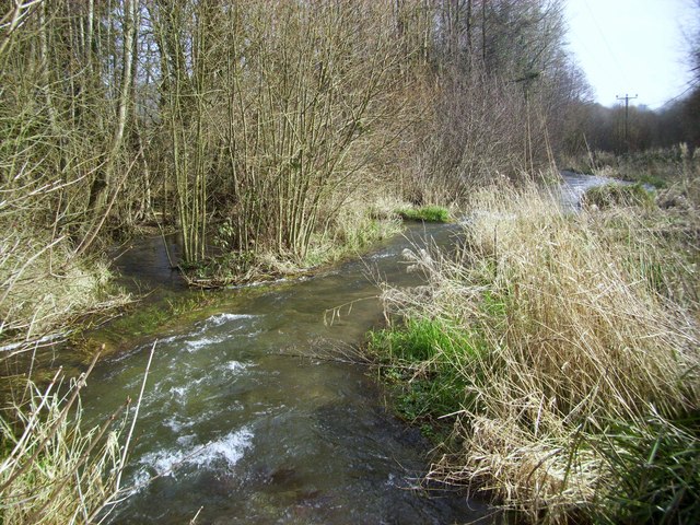 The Winterbourne Stream in the Woods © Des Blenkinsopp :: Geograph ...