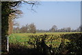 Farmland by Grigg Lane