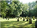 St Mary, Netherbury: churchyard (7)