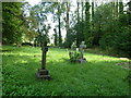 St Mary, Netherbury: churchyard (9)