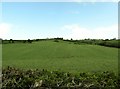 Hayfields on drumlin land between Kingsmill Road and Drumnahunshin Road