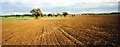 Wide fields near footpaths at White Roding