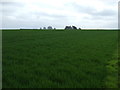 Farmland near Grayingham Cliff