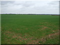 Crop field, Cliff Farm