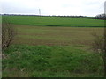 Farmland, Springcliff Farm