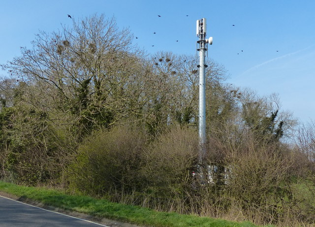 Mobile phone mast at Potter Hill