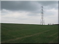 Pylon near Willoughby Farm