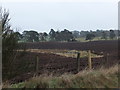 Field rubble, Dalreichmoor