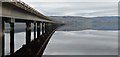 NH5960 : Cromarty Firth Road Bridge, Scotland by Andrew Tryon