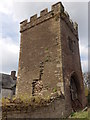 Tower at Great Porthamel