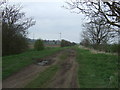 Track heading north near Cherry Farm