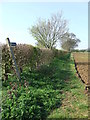 Footpath And Sign