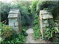 St Mary, Netherbury: churchyard (14)