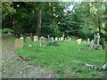 St Mary, Netherbury: churchyard (17)