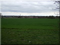 SE9807 : Crop field, Castlethorpe by JThomas