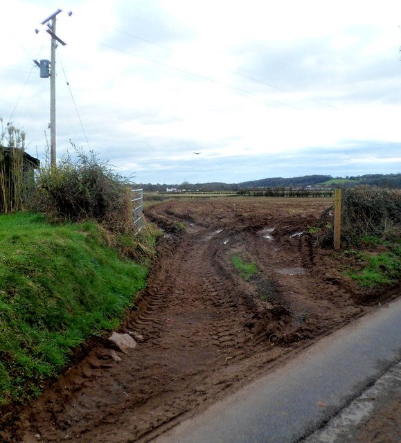 Muddy entrance to a field south of Llanvair Discoed