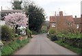 Blossom and cottages in Longstock