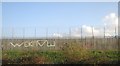 Fence by the Tilbury Loop