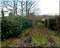 Bridleway near Orchard Cottage, Five Lanes