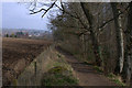 Path beside Cuttle Burn Den, Blairgowrie