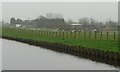 Fence with gulls, north bank, Aire & Calder Navigation