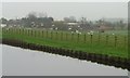 Fence without gulls, north bank, Aire & Calder