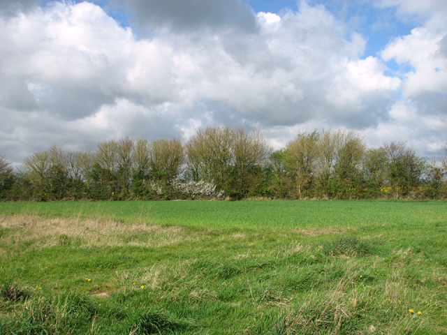 Field boundary by Hill Farm