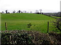 Edenreagh Townland