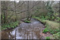 Taunton Deane District : River Tone