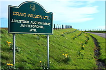 NS3720 : Ayr Cattle Market Sign at Whitefordhill by Billy McCrorie