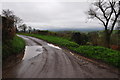 Taunton Deane District : Country Lane