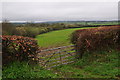 Taunton Deane District : Countryside Scenery