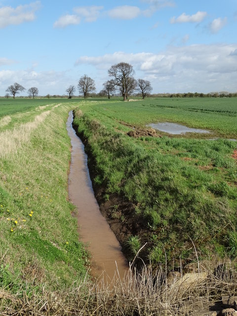 Drain The Marsh Meaning