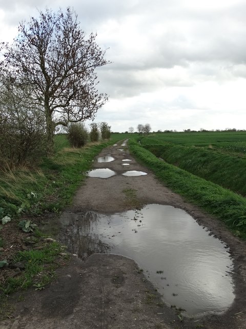 Bankfield Lane, Barmby on the Marsh