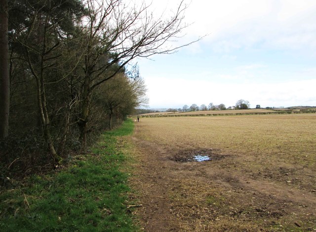 Path at the edge of a field by Hurcott Wood, near Kidderminster