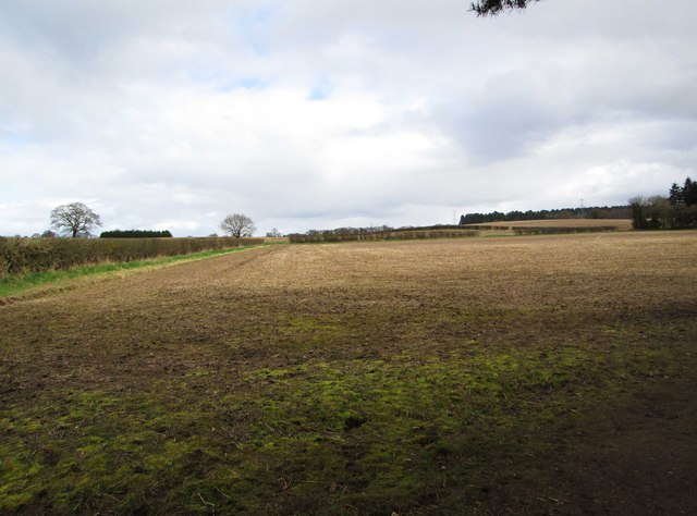 Field adjacent to Hurcott Wood, near Kidderminster