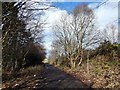 Path from Mountblow Road