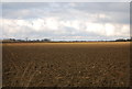 Ploughed field near Swiss Farm