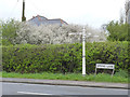 Fingerpost at Spring Lane/Lambley Lane