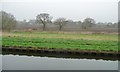 Field boundary, east of Plaice Hills Farm