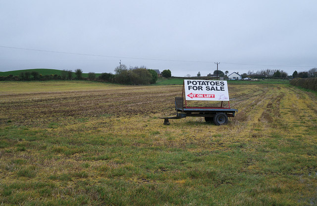 Field and sign near Donaghadee