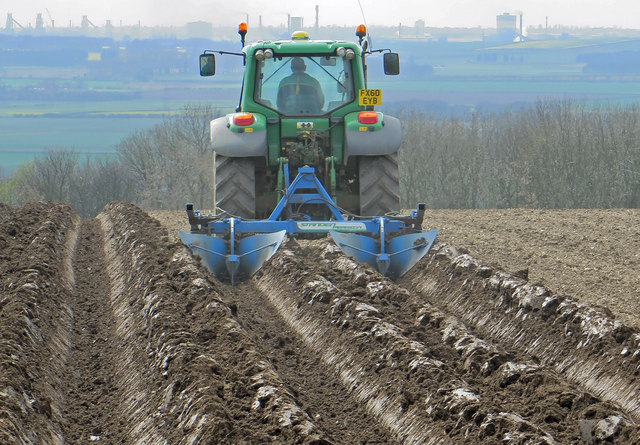 Ploughing Potato Beds near Saxby All Saints
