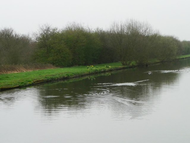 East bank, New Junction Canal