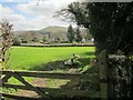 Fields near Teigncombe