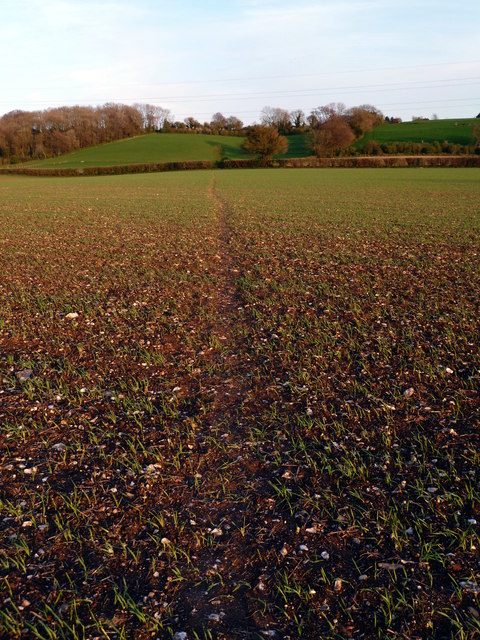 Footpath across a field to Owslebury