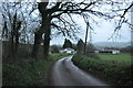 Mid Devon : Country Lane