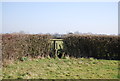 TQ8745 : Stile in a hedge by N Chadwick