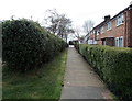 Path between two hedges, Bryn Celyn Road, Cwmbran