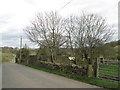 Remains of buildings beside Arkenley Lane