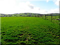 Green pastures, Speerholme